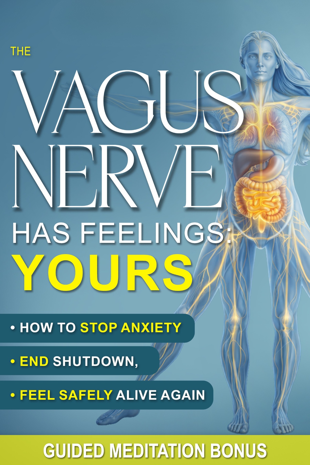 Cover of Vagus Reset